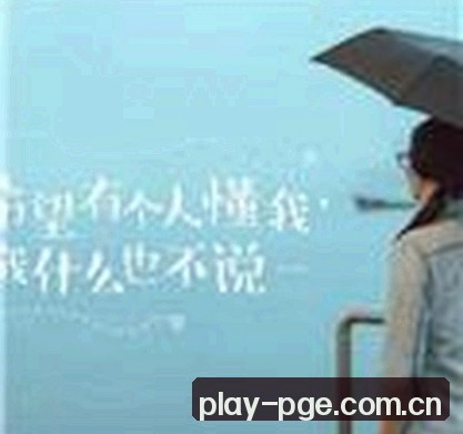 吴迪